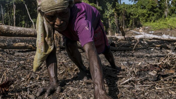 The Pivotal Role of Indigenous Women in Papua: Guardians of Culture, Nature, and Community