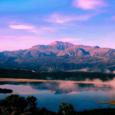 Discovering the Hidden Gem of Papua: The Majestic Habema Lake