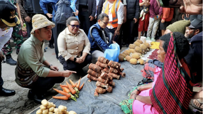 Government Conducts On-Site Review of Development Programs and Public Services in Papua