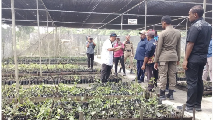 Jayapura District Boosts Agricultural Sector to Drive Village-Based Economic Empowerment