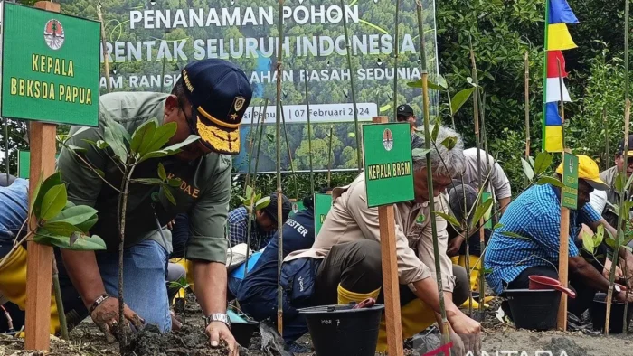 Papua Forestry Department Advocates Mangrove Conservation for Economic Growth