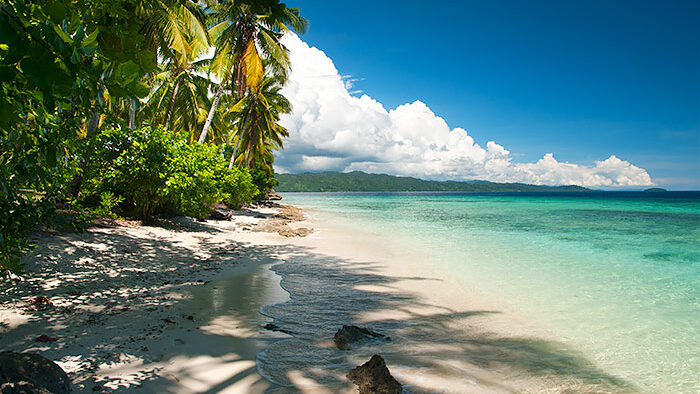 Discover Friwen Island : A Gem in Raja Ampat