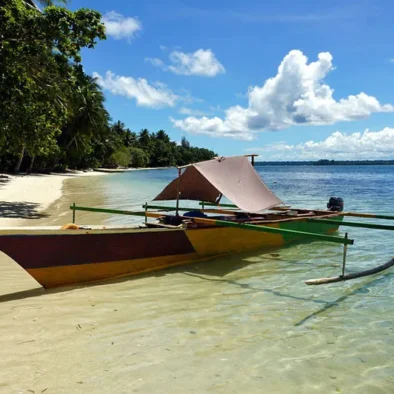 Discover the Hidden Gems of Papua: 6 Must-Visit Places in Papua , Indonesia