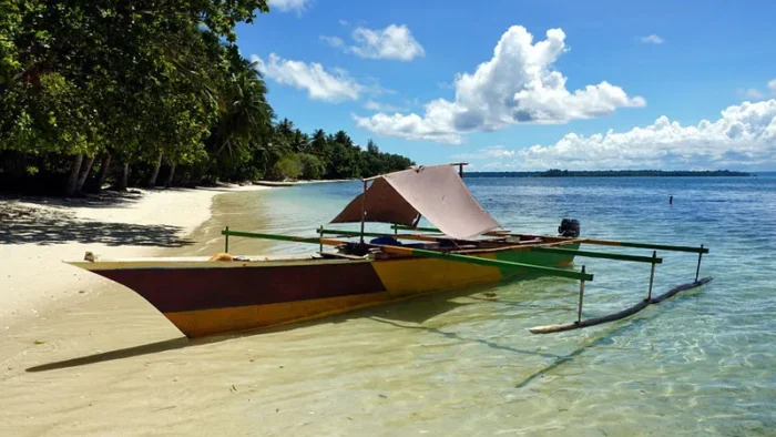 Discover the Hidden Gems of Papua: 6 Must-Visit Places in Papua , Indonesia