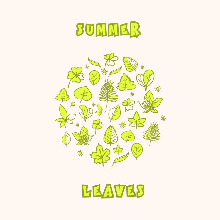 Leaves Vector Summer Linear Icon