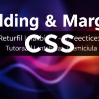 Padding & Margin CSS: Tutorial Lengkap Pemula [2025]
