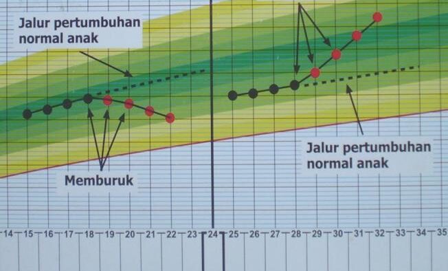 KULWAP 4: Cara Membaca KMS WHO