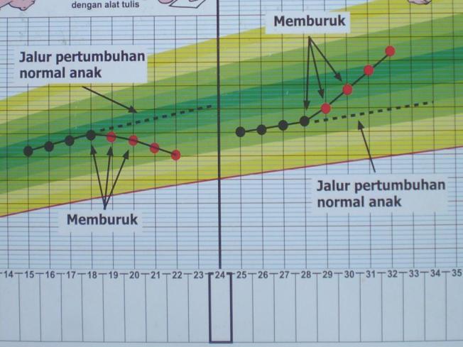 KULWAP 4: Cara Membaca KMS WHO