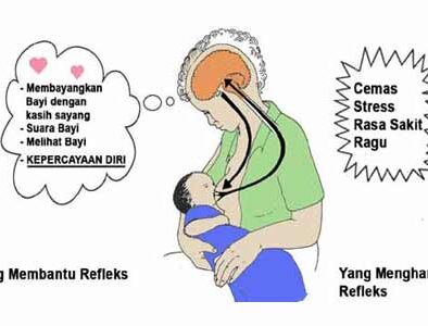 Memerah ASI: Pentingnya merangsang Hormon Oksitosin