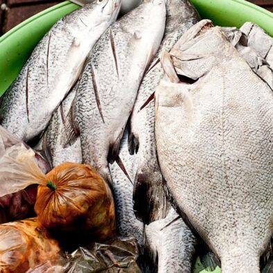 Tentang Protein Hewani