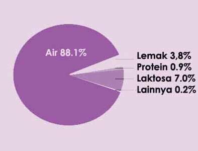 Mengapa menyusui penting: Kualitas protein ASI berbeda