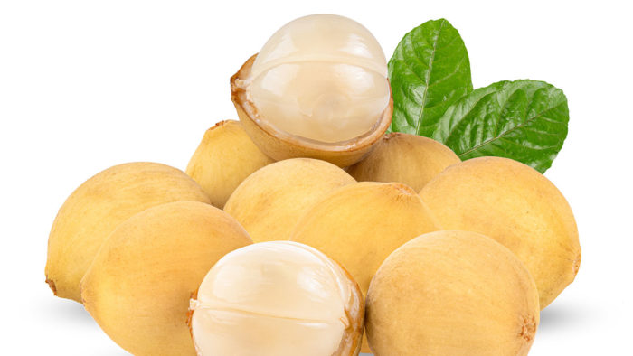 Erek Erek Buah Duku 2D 3D 4D Lengkap – Selamat Datang Situs