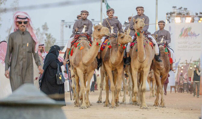 King Abdulaziz Camel Festival: Mengenal Unta dari Usianya