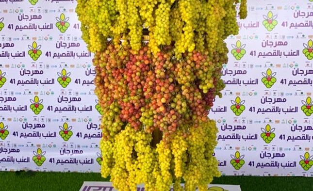 Festival Anggur Dibuka di Qashim