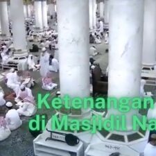 Diliputi Ketenangan: Video Pemandangan Indah Majlis Ilmu di Masjid Nabawi Setelah Shalat Subuh