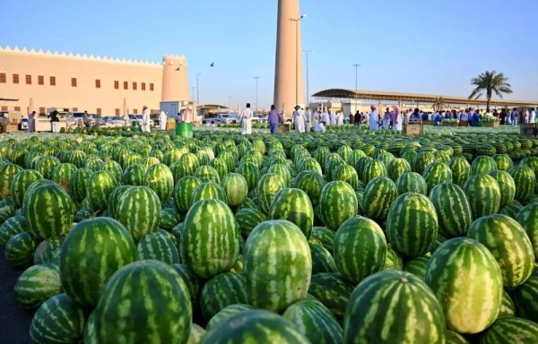 Panen Semangka Saudi Tembus 610.000 Ton: Buah Segar, Ekonomi Tumbuh!