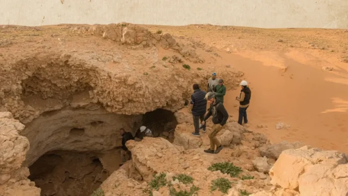 Penemuan dari Kedalaman Gurun Saudi Ungkap Oasis Hijau Berusia 8 Juta Tahun